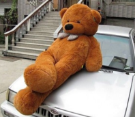 Riesen XXL Teddybr Teddy Br Plsch braun 230cm Plsch Kuschelbr Geschenk Kinder Frauen Neuware / Neu  