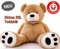 Gigantischer XXL Plsch Kuscheltier Riesenplsch Riesenteddy Teddybr Plsch 260cm XXXL Plschbr Tedi Ted Braun Hellbraun Valentinstag Geschenk Frau Freundin